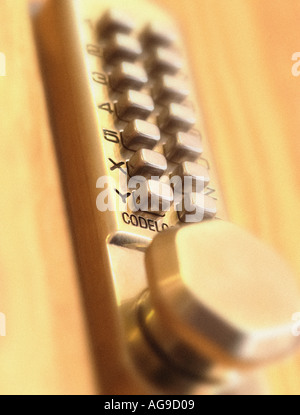 alphanumeric security key pad on door Stock Photo