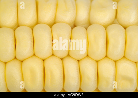 Sweetcorn Corn on the Cobb Close Up Stock Photo