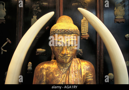 China, Hong Kong, Golden Buddha statue by elephant tusks Stock Photo