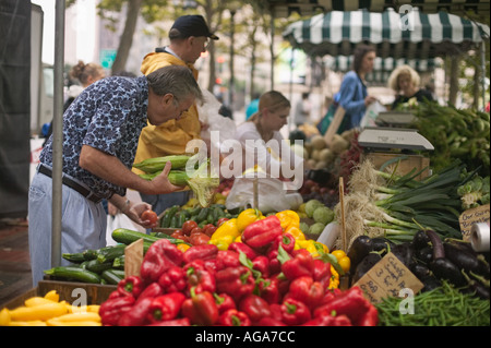 Man shopping for tomatoes at Farmer s Market in Copley Square on St James Street Boston MA Stock Photo
