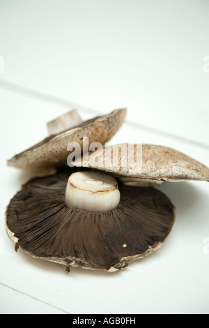 portobello mushrooms Stock Photo