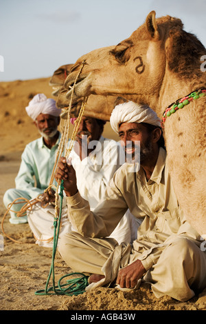 Camels with their owners sitting in front of them Great Thar desert outside Jaisalmer Rajasthan India Models Released Stock Photo