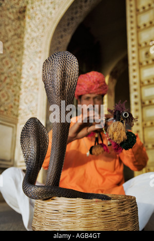 Snake charmer in front of the City Palace Complex in Jaipur Two spectacle cobras in striking pose India Stock Photo