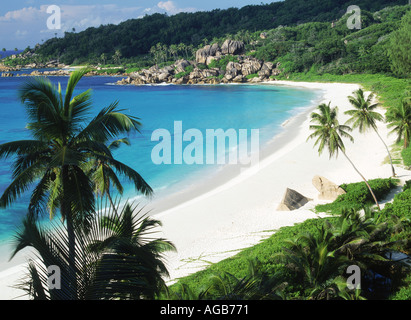 Granite rocks and palm trees at Grand Anse on La Digue in Seychelles Stock Photo