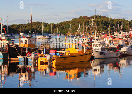 Tarbert harbour and boats on a colourful evening in Argyll Scotland Stock Photo