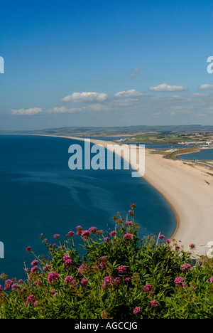 View of Chesil Beach looking down from Portland Stock Photo