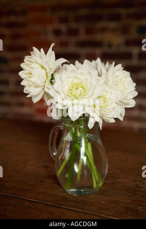 White dalhia in vase on wooden table Stock Photo