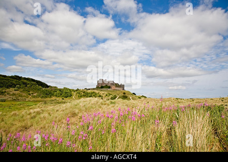 Bamburgh Castle across the Marram grass covered sand dunes of Bamburgh ...