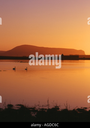 dh Loch of Harray STENNESS ORKNEY Sunset swan pair Hoy Hills wildlife serene dusk uk birds winter scotland Stock Photo