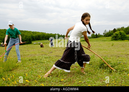 Stock image of a young farm girl in skirt and long braids scything or hand mowing a hay field Stock Photo