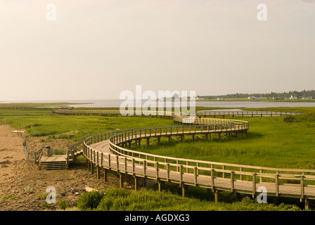 Stock image of the boardwalk marsh and coast of La Dune de Bouctouche New Brunswick Canada Stock Photo