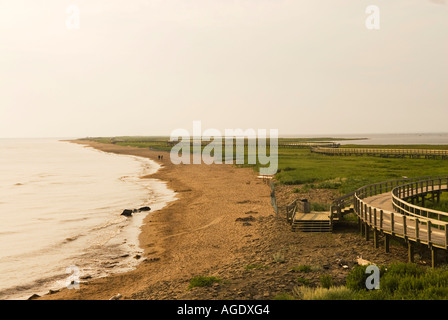 Stock image of the boardwalk marsh and coast of La Dune de Bouctouche New Brunswick Canada Stock Photo