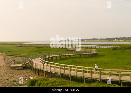 Stock image of the boardwalk marsh and coast of La Dune de Bouctouche New Brunswick Canada Stock Photo