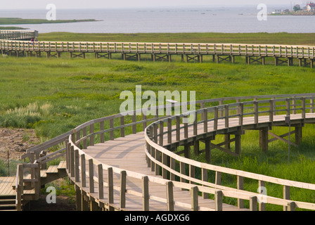 Stock image of the boardwalk marsh and coast of La Dune de Bouctouche New Brunswick Canada Stock Photo