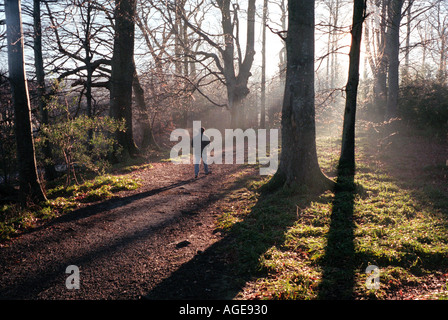 A lone walker in early morning sunlight near Keswick Cumbria England UK Stock Photo