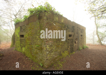 World War II brick pill box at Waverley Abbey near Farnham on the River ...