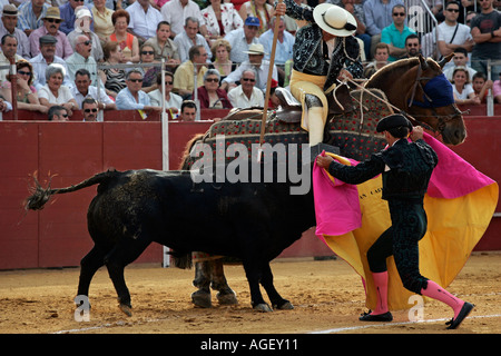 Picador jabbing bull Stock Photo