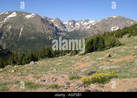 Rocky Mountain National Park mountain peaks in summer Stock Photo