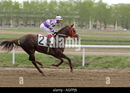 Horse racing Stock Photo