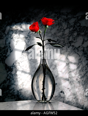 Two Red Roses in a glass vase on a marble background 2 roses Stock Photo