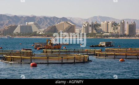 Israel Red Sea Eilat fish farms in the sea view of net fish ponds in the sea with high rising hotels on north beach in bkgd Stock Photo