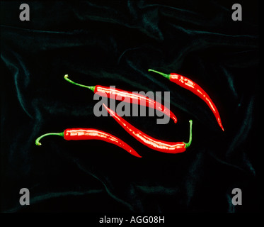 Four thin red chilli peppers Stock Photo