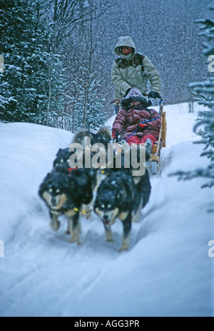 A team of husky dogs pulling a loaded sleigh along a snow covered track in Quebec during a snow storm. Stock Photo