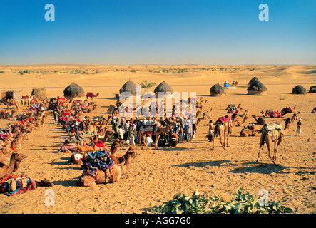 Camels pose hi-res stock photography and images - Page 2 - Alamy