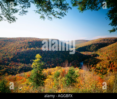 View Of Loyalsock Creek From Canyon Vista Overlook, Worlds End State Park, Sullivan County, Pennsylvania, USA Stock Photo