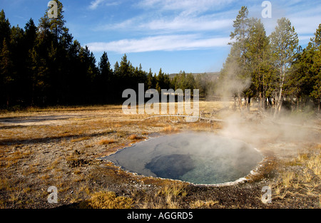 Hot water pool Yellowstone NP USA Stock Photo