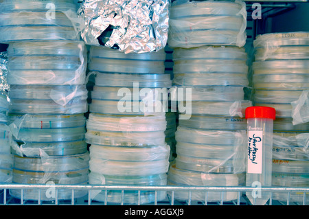 refrigerator containing various samples and liquids used in molecular biology and microbiology Stock Photo