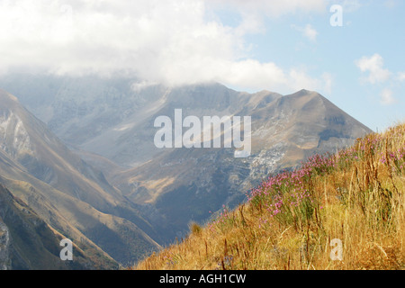 Sibillini mountain range,part of the Apennines viewed over wild flowers and golden grasses. Stock Photo
