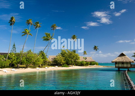 Tropical sandy beach, Moorea, French Polynesia Stock Photo