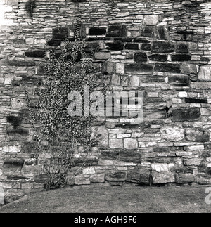 Old stone and brick wall Stock Photo