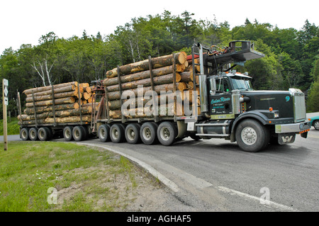 Michigan Upper Peninsula logging truck industry Stock Photo