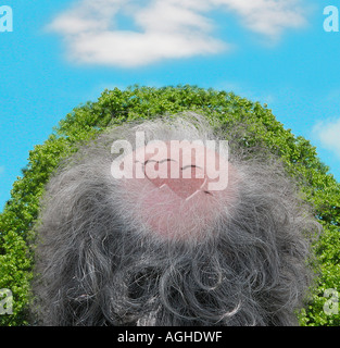 Conceptual image of a man bald head with two hearts on it surrounded by foliage and clouds Stock Photo