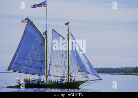 Tallship Sailing on Atlantic Ocean, USA, Maine, Hancock County Stock Photo