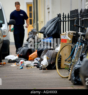 A seagull picking through rubbish strewn across pathways and streets of Brighton, East Sussex. Picture by Jim Holden. Stock Photo