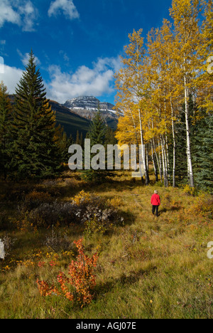 Female tourist looking at Mount Brett from Bow Valley Parkway Banff National Park Alberta Rockies Canada Stock Photo