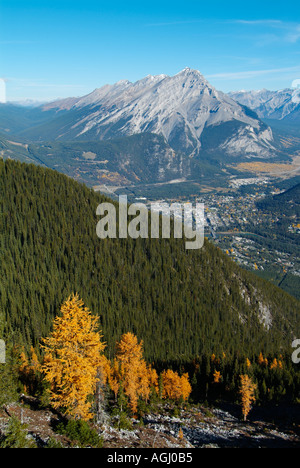 Overlooking Banff township and Cascade mountain from Sulphur Mountain summit Banff National park Alberta Rockies Canada Stock Photo