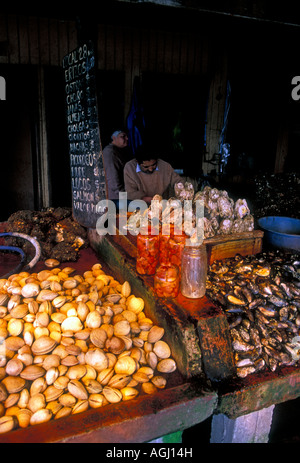 1, one, Chilean woman, adult man, fish vendor, selling clams, fish market, seafood market, Puerto Montt, Chile, South America Stock Photo