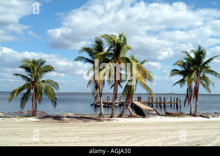 Useppa Key on Pine Island Sound SW Florida fl USA Beach and palm trees Stock Photo
