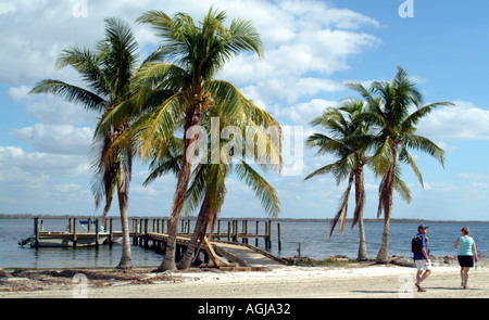 Useppa Key on Pine Island Sound SW Florida fl USA beach and palm trees Stock Photo