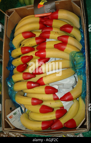 https://l450v.alamy.com/450v/agjf2c/prize-winning-bunch-of-ripe-organic-bananas-dipped-in-marked-with-agjf2c.jpg