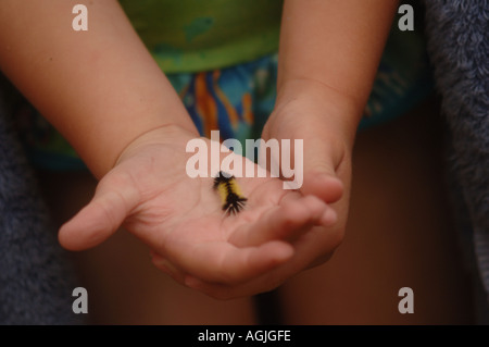 Lifestyle at Lake of the Woods Ontario Canada Stock Photo