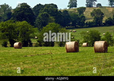 Hocking Hills Ohio USA rural landscape blue sky countryside farming farmland Summer harvest bales of hay in the field nobody outside horizon hi-res Stock Photo