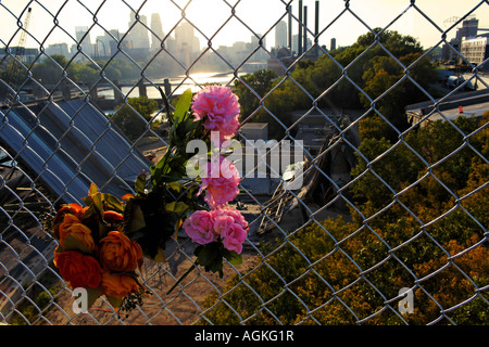 I 35W Bridge collapse aftermath flowers left on the 10th Ave Bridge in memorial for the 13 people who died Stock Photo