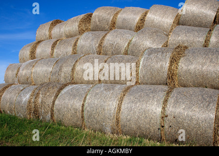 landscape with a pile of straw ball on a field in the summer. Photo by Willy Matheisl Stock Photo