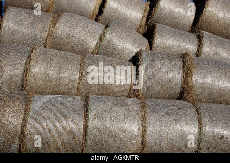 landscape with a pile of straw ball on a field in the summer. Photo by Willy Matheisl Stock Photo