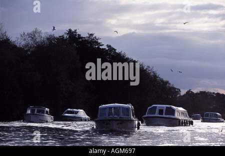 Tourist boats sailing on the Norfolk Broads near Wroxham, Norfolk, UK. Stock Photo